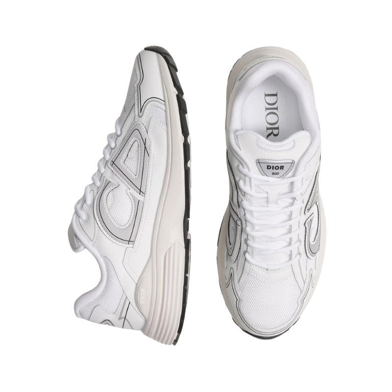 Dior B30 White Grey