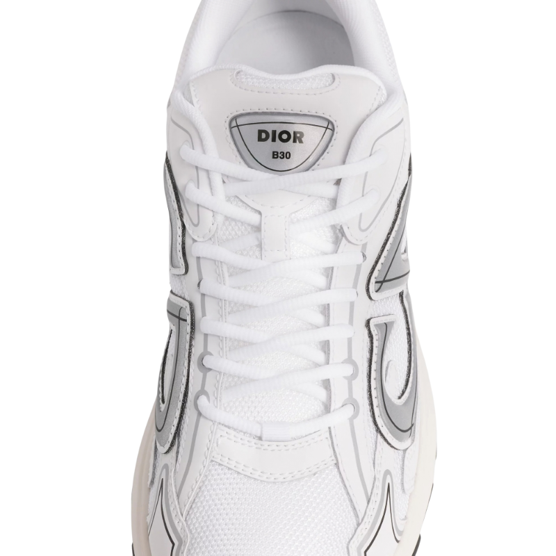 Dior B30 White Grey